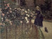 Gustave Caillebotte Roses-The Garden in Petit-Gennevilliers oil painting artist